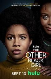دانلود سریال The Other Black Girl 2023–