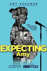 دانلود سریال Expecting Amy 2020