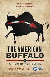 دانلود سریال The American Buffalo 2023–