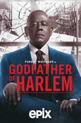 دانلود سریال Godfather of Harlem 2019