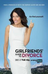 دانلود سریال Gir.lfriends Guide to Divorce 2014