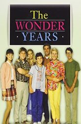 دانلود سریال The Wonder Years 1988–1993