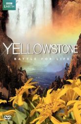 دانلود سریال Yellowstone -2009