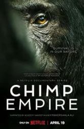 دانلود سریال Chimp Empire 2023