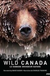 دانلود سریال Wild Canada 2014