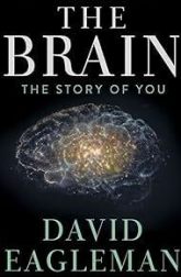 دانلود سریال The Brain with Dr. David Eagleman 2015–