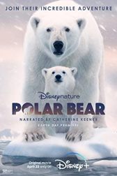 دانلود فیلم Polar Bear 2022