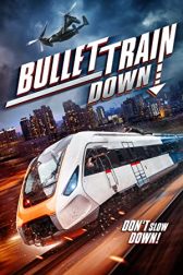 دانلود فیلم Bullet Train Down 2022