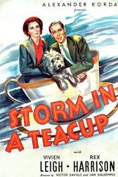 دانلود فیلم Storm in a Teacup 1937