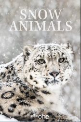 دانلود فیلم Snow Animals 2019