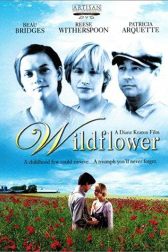 دانلود فیلم Wildflower 1991