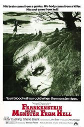 دانلود فیلم Frankenstein and the Monster from Hell 1974
