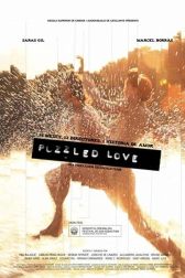 دانلود فیلم Puzzled Love 2011
