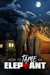 دانلود فیلم How to Tame an Elephant 2023