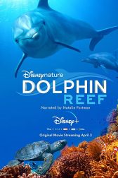 دانلود فیلم Dolphin Reef 2020