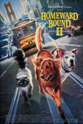 دانلود فیلم Homeward Bound II: Lost in San Francisco 1996