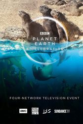 دانلود فیلم Planet Earth: A Celebration 2020