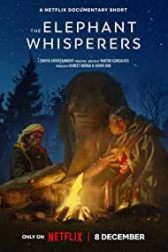 دانلود فیلم The Elephant Whisperers 2022