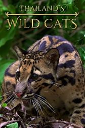 دانلود فیلم Thailands Wild Cats 2021