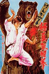 دانلود فیلم Kyokuskin kenka karate burai ken 1975