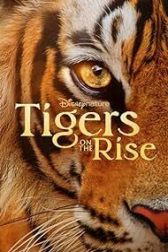 دانلود فیلم Tigers on the Rise 2024