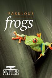 دانلود فیلم andquot;Natureandquot; Fabulous Frogs 2014