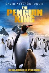 دانلود فیلم Penguins 2012