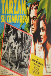 دانلود فیلم Tarzan and His Mate 1934