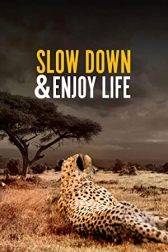 دانلود فیلم Slow Down and Enjoy Life 2020