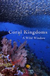 دانلود فیلم Wild Window: Coral Kingdoms 2016