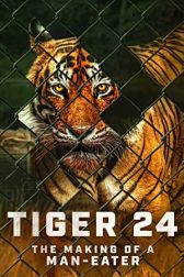 دانلود فیلم Tiger 24 2022