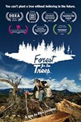 دانلود فیلم Forest for the Trees 2021