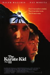 دانلود فیلم The Karate Kid Part III 1989