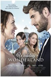 دانلود فیلم Winter Wedding 2017