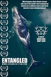 دانلود فیلم Entangled: The Race to Save Right Whales from Extinction 2020