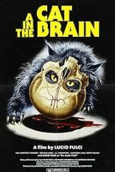 دانلود فیلم A Cat in the Brain 1990