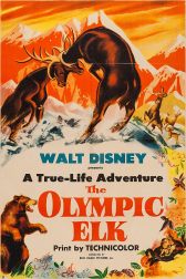 دانلود فیلم The Olympic Elk 1952