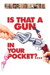 دانلود فیلم Is That a Gun in Your Pocket? 2016
