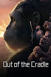دانلود فیلم Out of the Cradle 2018