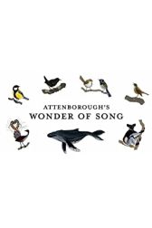 دانلود فیلم Attenboroughs Wonder of Song 2022