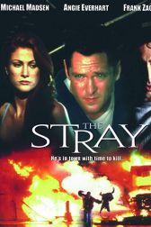 دانلود فیلم The Stray 2000