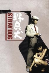 دانلود فیلم Stray Dog 1949