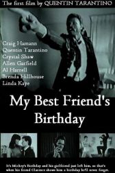 دانلود فیلم My Best Friend’s Birthday 1987