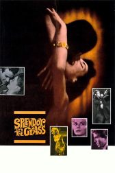 دانلود فیلم Splendor in the Grass 1961