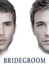 دانلود فیلم Bridegroom 2013