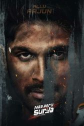 دانلود فیلم Naa Peru Surya, Naa Illu India 2018