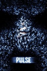 دانلود فیلم Pulse 2006