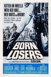 دانلود فیلم The Born Losers 1967