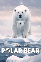 دانلود فیلم Polar Bear 2022