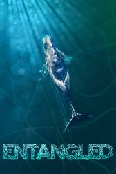 دانلود فیلم Entangled: The Race to Save Right Whales from Extinction 2020